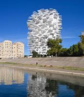 Restaurant/Bar à la Place Christophe Colomb, 34000 Montpellier. L'Arbre Blanc